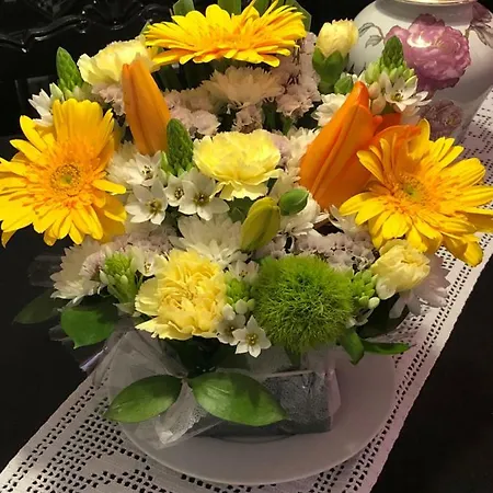 Casa de hóspedes Casa Vintage